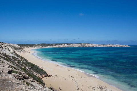Coffin Bay Oysters, Ocean & Nature Tour - Accommodation Batemans Bay 16