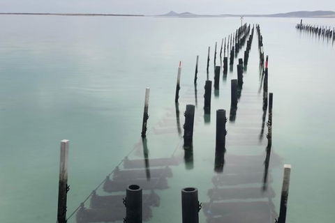 Coffin Bay Oysters, Ocean & Nature Tour - Accommodation Batemans Bay 15