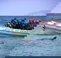 Kangaroo Island 75-Minute Ocean Safari - Accommodation Batemans Bay