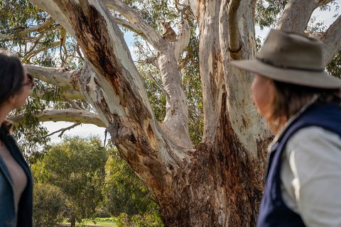 NEW TOUR - Kangaroo Island Road To Recovery Tour (1 Day/1 Night) - Accommodation Batemans Bay 2