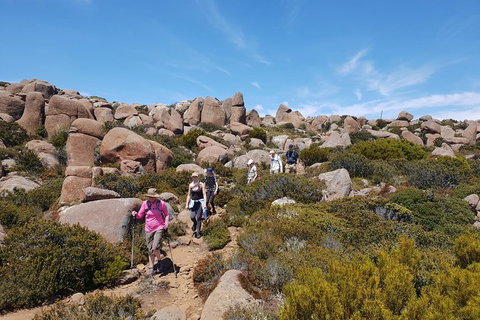 Alpine Loop - Accommodation Batemans Bay 2