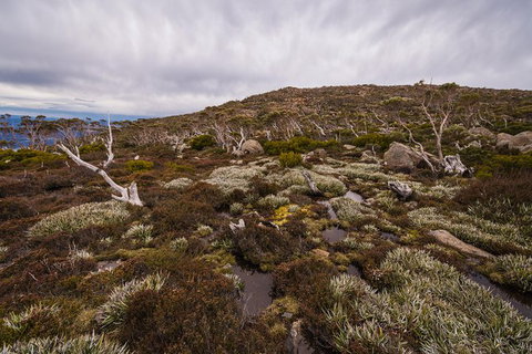 Alpine Loop - Accommodation Batemans Bay 0