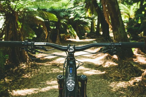 Send IT 4 Day Derby & St Helens MTB Experience - Accommodation Batemans Bay 6