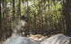 Send IT 4 Day Derby & St Helens MTB Experience - thumb 1