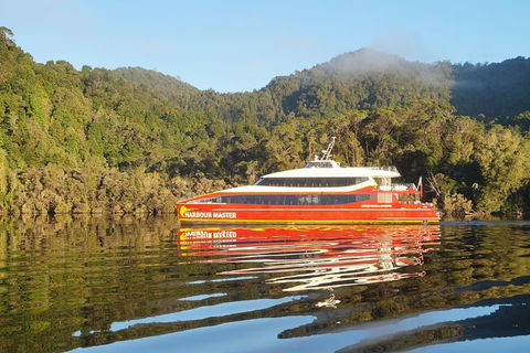 Afternoon Gordon River Dinner Cruise - Departing 3pm - Accommodation Batemans Bay 1