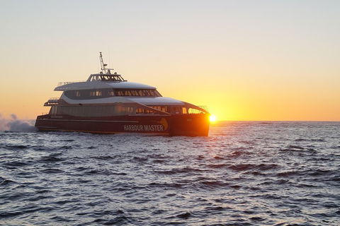 Afternoon Gordon River Dinner Cruise - Departing 3pm - Accommodation Batemans Bay 0