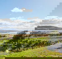 Launceston Wine  Sightseeing Tours - Accommodation Batemans Bay