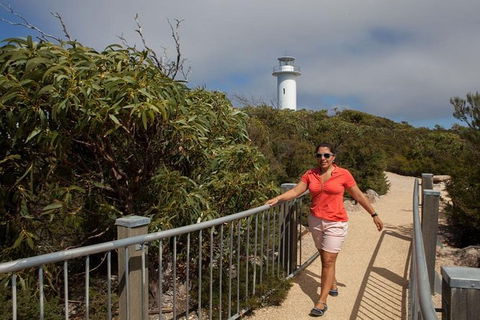 Half-Day Tour To Wineglass Bay From Launceston With Guide - Accommodation Batemans Bay 2