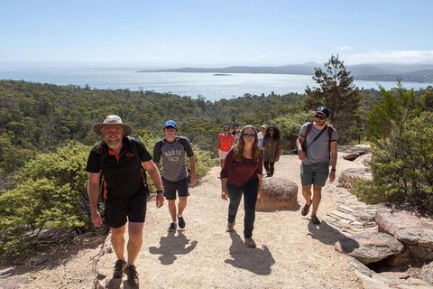 Half-Day Tour To Wineglass Bay From Launceston With Guide - Accommodation Batemans Bay 4