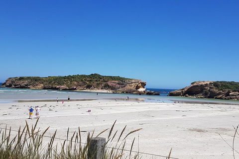 Warrnambool Wanderer Tour - Accommodation Batemans Bay 1