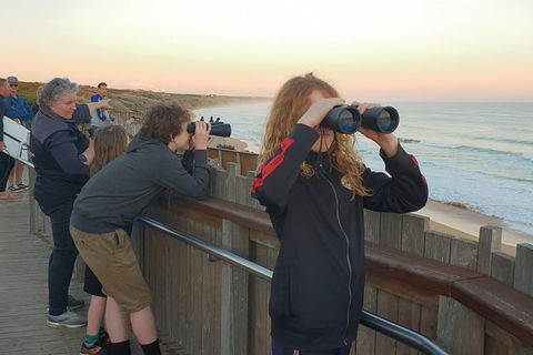 Warrnambool Wanderer Tour - Accommodation Batemans Bay 2