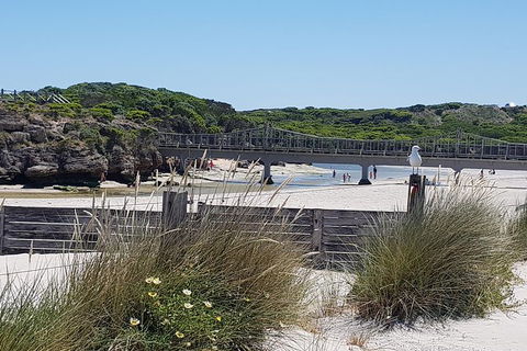 Warrnambool Wanderer Tour - Accommodation Batemans Bay 3