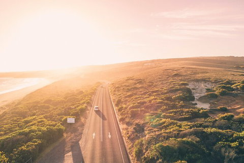 LGBT+ Friendly 2 Day Private Great Ocean Road Tour - Accommodation Batemans Bay 1