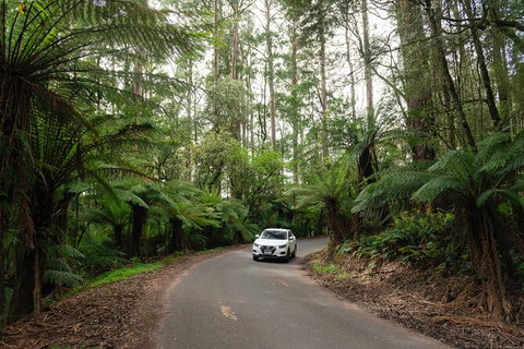 LGBT+ Friendly 3 Day Tour The Grampians, Daylesford & Ballarat - Accommodation Batemans Bay 1