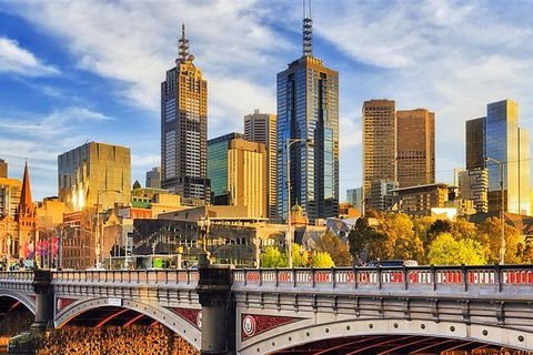 Arrival Private Transfers: Melbourne Airport MEL To Melbourne In Business Car - Accommodation Batemans Bay 2