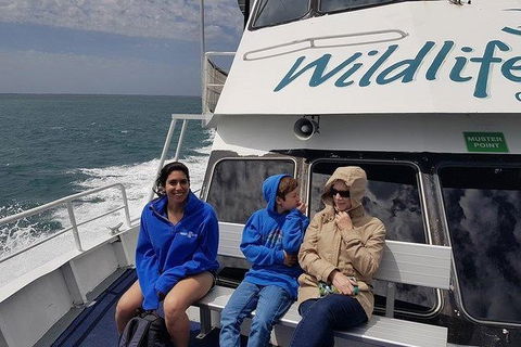 Phillip Island Penguin And Wildlife Tour - Accommodation Batemans Bay 15