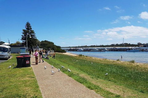 Phillip Island Penguin And Wildlife Tour - Accommodation Batemans Bay 25