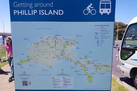 Phillip Island Penguin And Wildlife Tour - Accommodation Batemans Bay 28