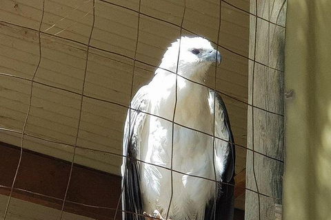 Phillip Island Penguin And Wildlife Tour - Accommodation Batemans Bay 21
