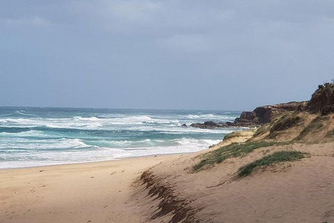 Phillip Island Penguin And Wildlife Tour - Accommodation Batemans Bay 10