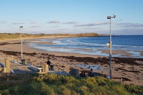 Phillip Island Penguin And Wildlife Tour - Accommodation Batemans Bay 8