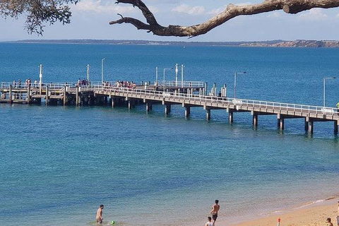 Phillip Island Penguin And Wildlife Tour - Accommodation Batemans Bay 2
