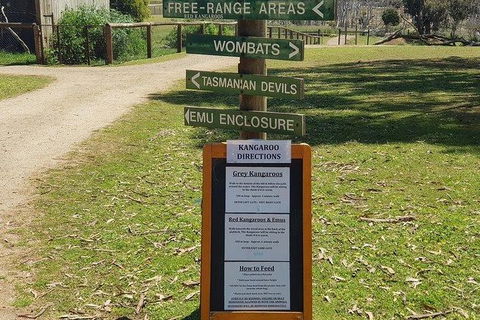 Phillip Island Penguin And Wildlife Tour - Accommodation Batemans Bay 4