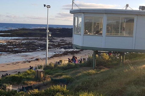 Phillip Island Penguin And Wildlife Tour - Accommodation Batemans Bay 33