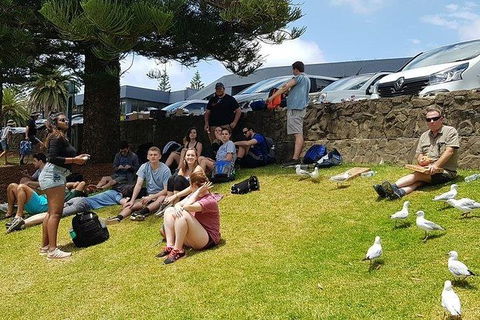 Phillip Island Penguin And Wildlife Tour - Accommodation Batemans Bay 22