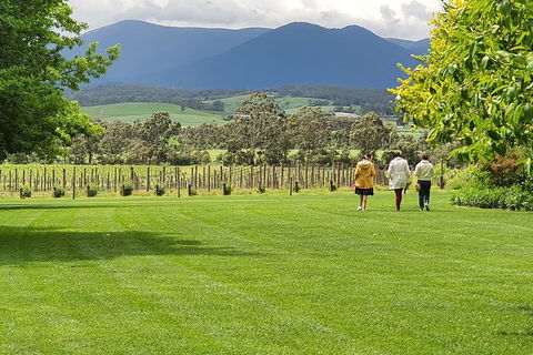 Yarra Valley Wine Tasting Day Tour From Melbourne - Accommodation Batemans Bay 6