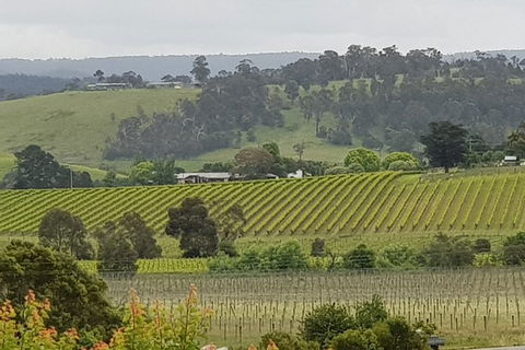 Yarra Valley Wine Tasting Day Tour From Melbourne - Accommodation Batemans Bay 0