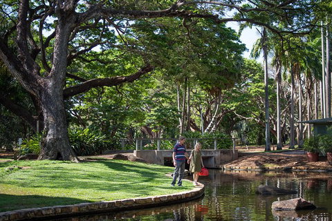 Darwin City Sights And Jumping Crocodile Cruise - Accommodation Batemans Bay 9