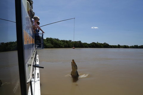 Darwin City Sights And Jumping Crocodile Cruise - Accommodation Batemans Bay 2