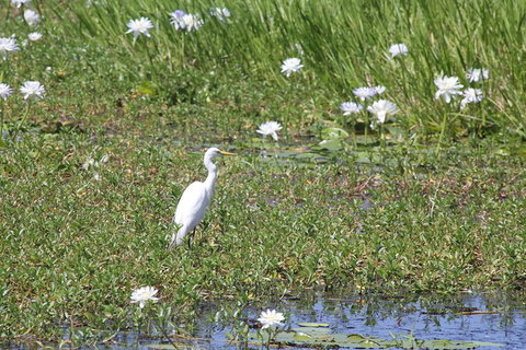 Darwin City Sights And Jumping Crocodile Cruise - Accommodation Batemans Bay 1
