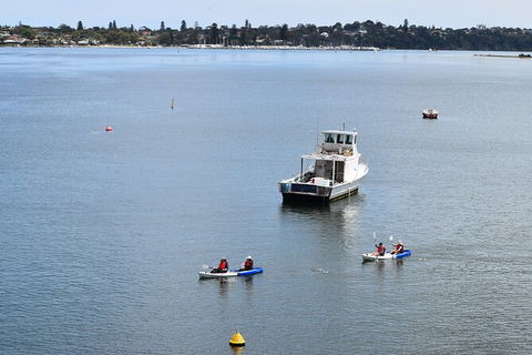 Cliffs And Caves Kayak Tour In Swan River - Accommodation Batemans Bay 5