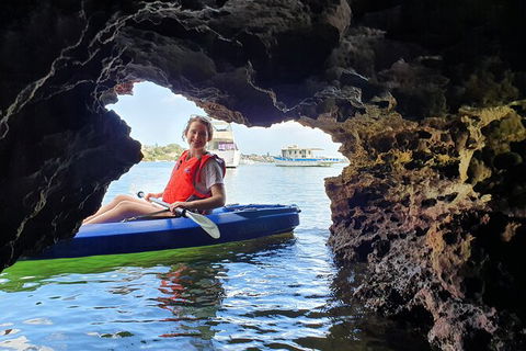 Cliffs And Caves Kayak Tour In Swan River - Accommodation Batemans Bay 3