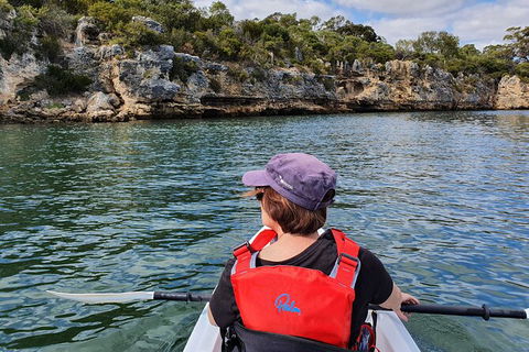 Cliffs And Caves Kayak Tour In Swan River - Accommodation Batemans Bay 1