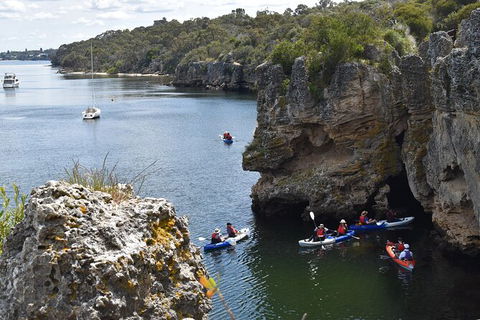 Cliffs And Caves Kayak Tour In Swan River - Accommodation Batemans Bay 2