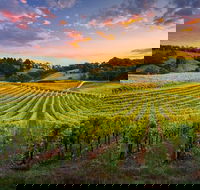 Swan Valley Sunset Wine Tour - Premium Small Group Tour - Accommodation Batemans Bay