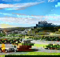 Bickley Valley Wine  Cider Tour - Premium Small Group Tour - Accommodation Batemans Bay