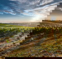 Perth to Margaret River Wine Tour - 2 Day Premium Boutique Wine Tour Experience - Accommodation Batemans Bay