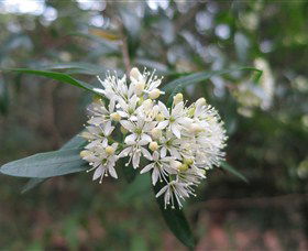 Jervis Bay NSW Accommodation Batemans Bay