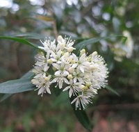 Booderee National Park - Accommodation Batemans Bay