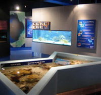 Marine and Freshwater Discovery Centre - Accommodation Batemans Bay