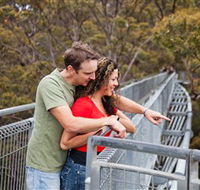 Valley of the Giants Tree Top Walk - Accommodation Batemans Bay