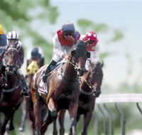 Colac Turf Club - Accommodation Batemans Bay
