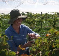 Kingsdale Wines - Accommodation Batemans Bay