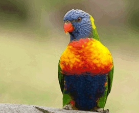 Booderee National Park - Accommodation Batemans Bay 1