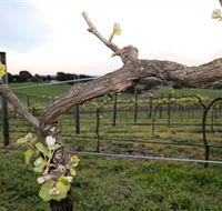 Nalbra Estate Wines - Accommodation Batemans Bay