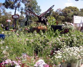 Zanthorrea Nursery - Accommodation Batemans Bay 0